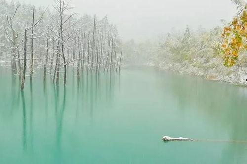 若深情无恙,岁月静好