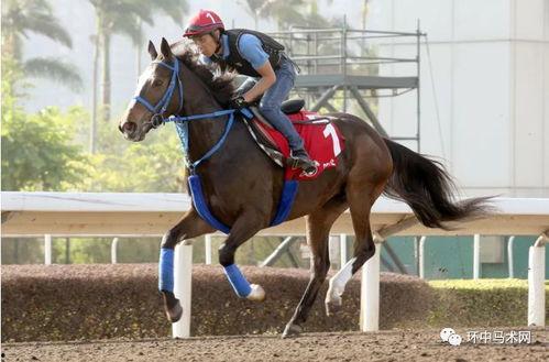 飞骑追踪,揭秘古代通信与情报传递的传奇故事